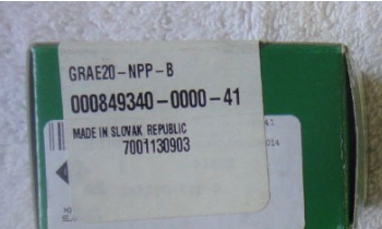 INA GRAE20-XL-NPP-B bearing | 20x47x31 mm